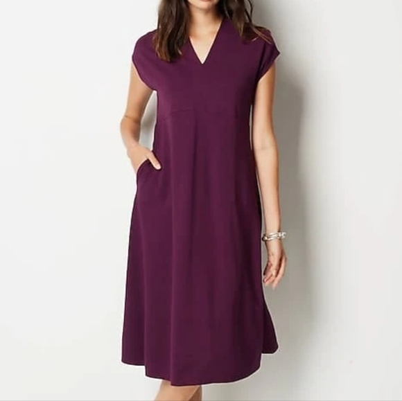 J Jill Fit & Flare Dress Small Petite - Picture 11 of 16
